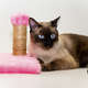 Brinquedo Luppet Conforto Arranhador Quadrado Rosa