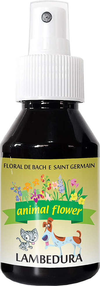Floral Animal Flower Spray Lambedura - 100 mL
