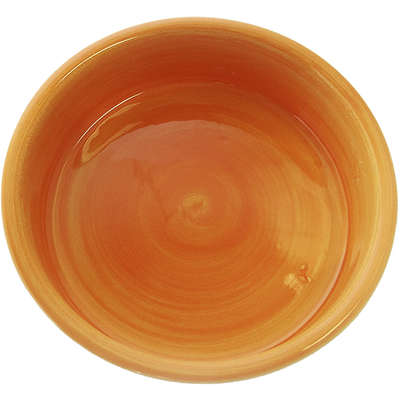 Comedouro Porcelana Power Pets Laranja Cenoura e Patinha Hd17p288