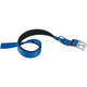Coleira Ferplast Daytona Azul