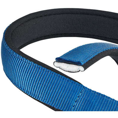 Coleira Ferplast Daytona Azul