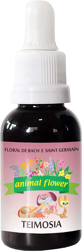 Floral Animal Flower Gotas Teimosia - 30 mL