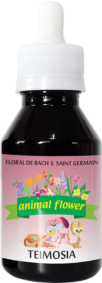 Floral Animal Flower Gotas Teimosia - 100 mL