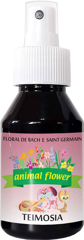 Floral Animal Flower Spray Teimosia - 100 mL