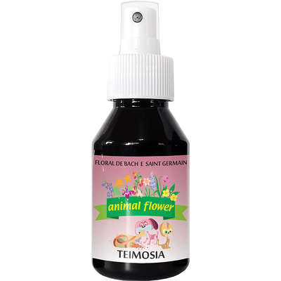 Floral Animal Flower Spray Teimosia - 100 mL