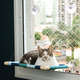 Cama Gatton Catbed Listrada Azul para Gatos