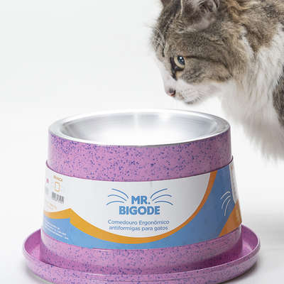 Comedouro Ergonômico NF Pet Mr. Bigode Antiformigas Rosa para Gatos 