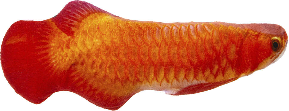 Brinquedo Petwi Pelúcia Peixe Carpa para Gatos - Tam. Único