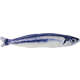 Brinquedo Petwi Sardinha de Pelúcia - Peixe