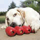 Brinquedo Interativo KONG Goodie Ribbon Vermelho