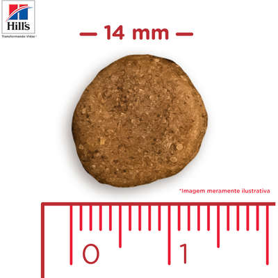 Ração Hills Science Diet Crescimento Saudável Raças Grandes