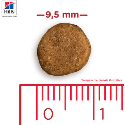 Ração Hills Science Diet Crescimento Saudável Original