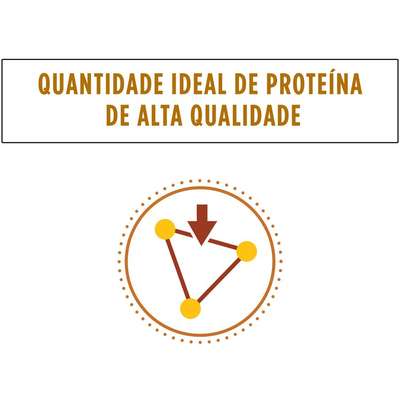 Ração Seca Nestlé Purina Pro Plan Veterinary Diets NF Função Renal para Gatos