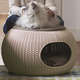 Cama Curver Puff Cozy Pet com Almofada Knit Curver Sandy - Areia