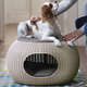 Cama Curver Puff Cozy Pet com Almofada Knit Curver Sandy - Areia