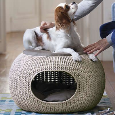 Cama Curver Puff Cozy Pet com Almofada Knit Curver Sandy - Areia