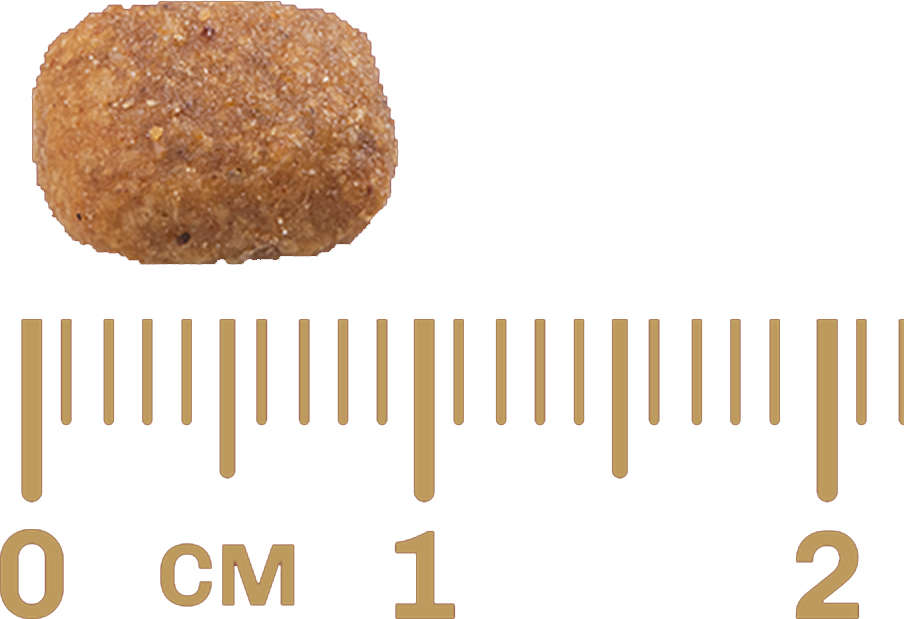 Ração GranPlus Carne e Arroz para Gatos Adultos - 10,1Kg