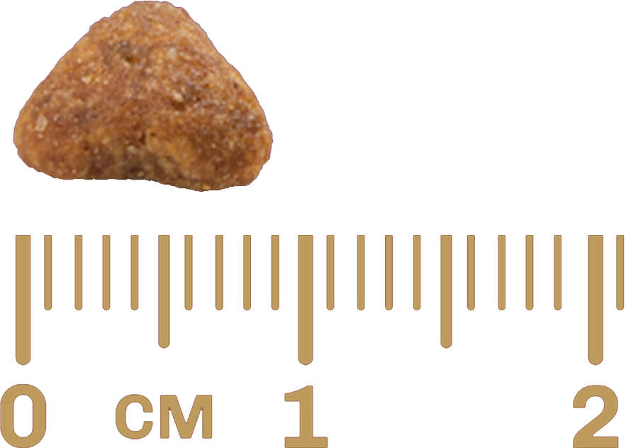 Ração GranPlus Carne e Arroz para Gatos Castrados - 10,1Kg