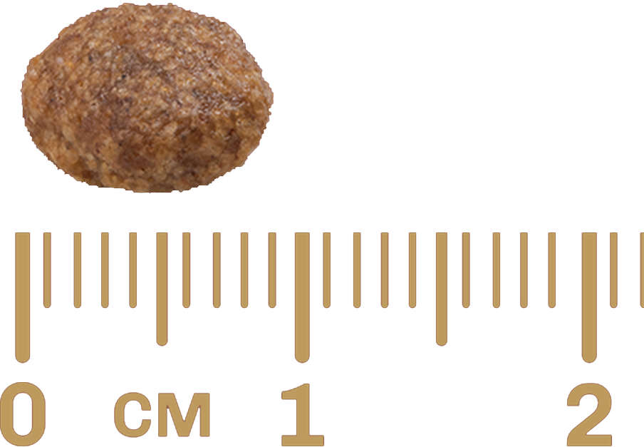 Ração GranPlus Frango e Arroz para Cães Adultos Mini e Pequenas - 15Kg