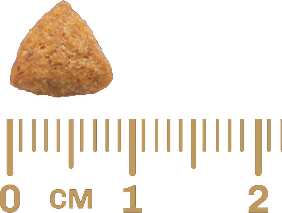 Ração GranPlus Frango e Arroz Gatos Castrados Adultos - 10,1Kg