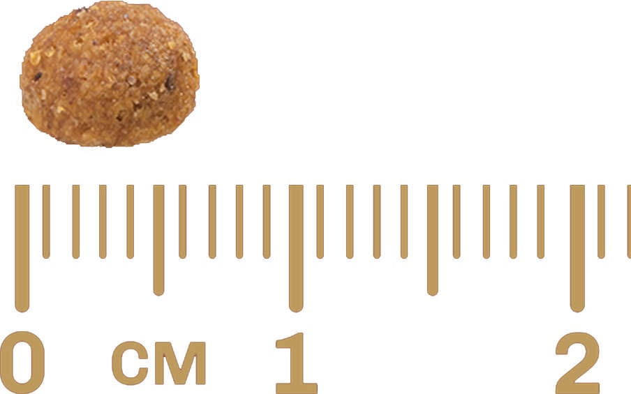 Ração GranPlus Frango e Arroz para Gatos Filhotes - 3Kg
