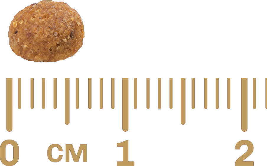 Ração GranPlus Menu Frango e Arroz para Gatos Filhotes - 10,1Kg
