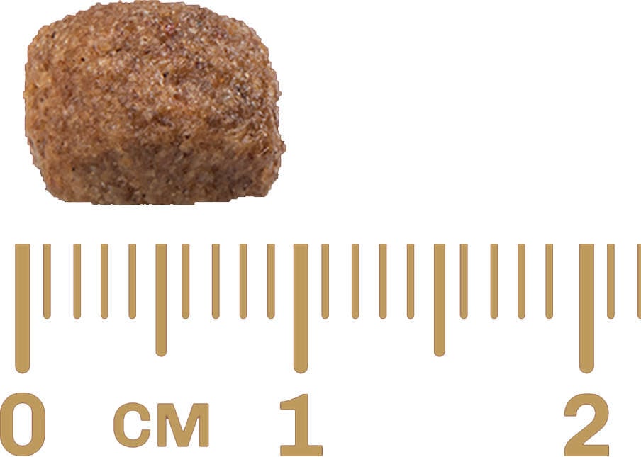 Ração GranPlus Menu Carne e Arroz para Cães Adultos Mini - 15Kg