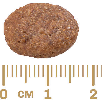 Ração Affinity PetCare Gran Plus Menu Carne e Arroz para Cães Adultos