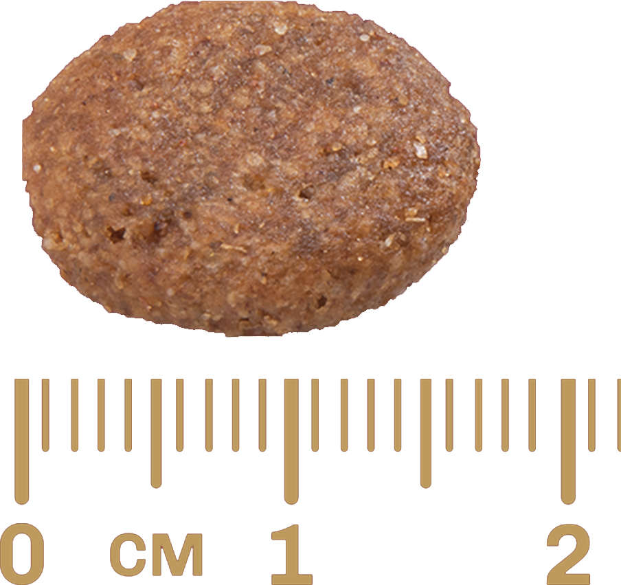 Ração GranPlus Menu Carne e Arroz para Cães Adultos - 20Kg