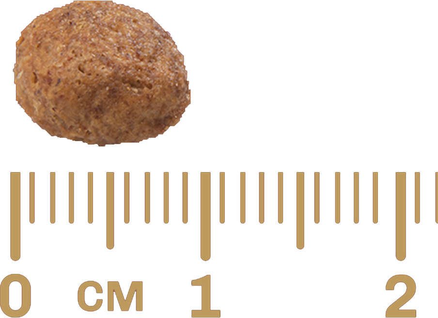 Ração GranPlus Menu Carne e Arroz para Cães Filhotes - 20Kg
