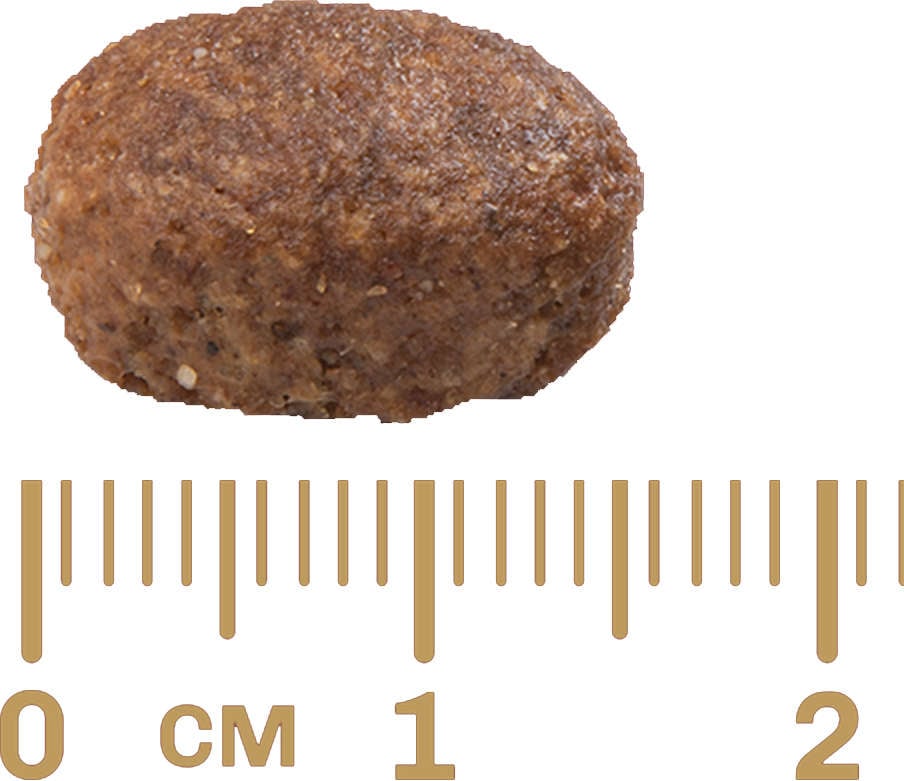 Ração GranPlus Frango e Arroz para Cães Adultos - 20Kg