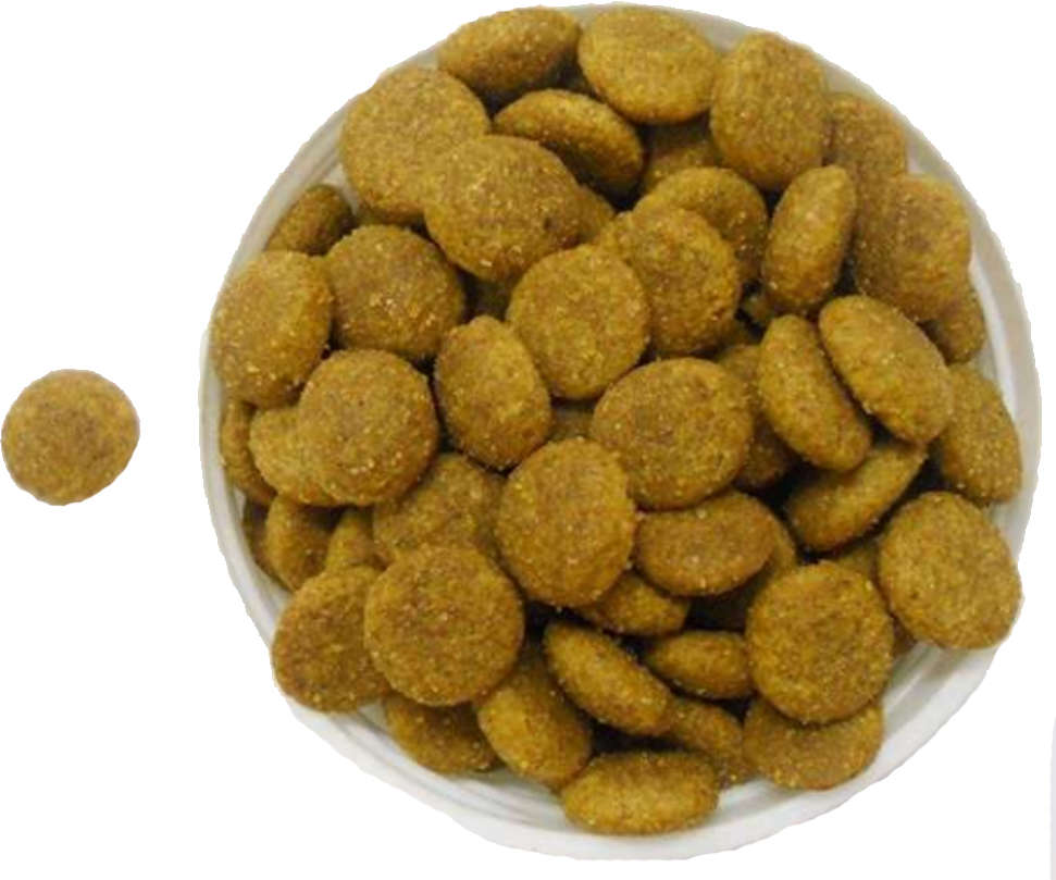 Ração Gran Plus Menu Sênior Frango e Arroz para Cães Idosos Raças Médias e Grandes - 3Kg