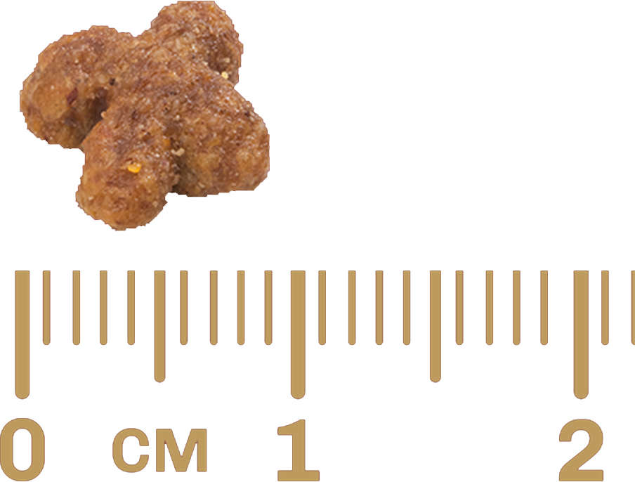 Ração GranPlus Salmão e Arroz para Gatos Adultos - 10,1Kg