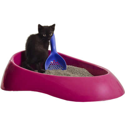 Caixa de Areia Família de Estimação Rosa para Gatos