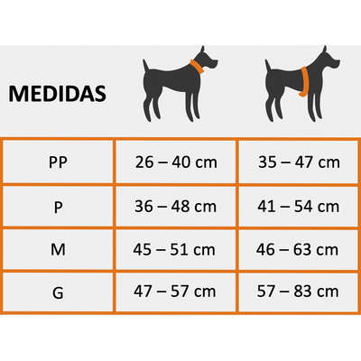 Medidas