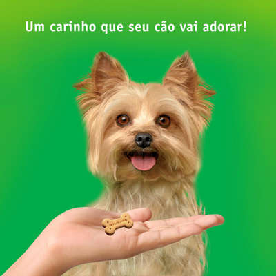 Petisco Nestlé Purina Dog Chow Carinhos Mix de Carne, Frango e Cenoura para Cães Adultos Raças Pequenas