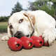 Brinquedo Interativo KONG Goodie Ribbon Vermelho