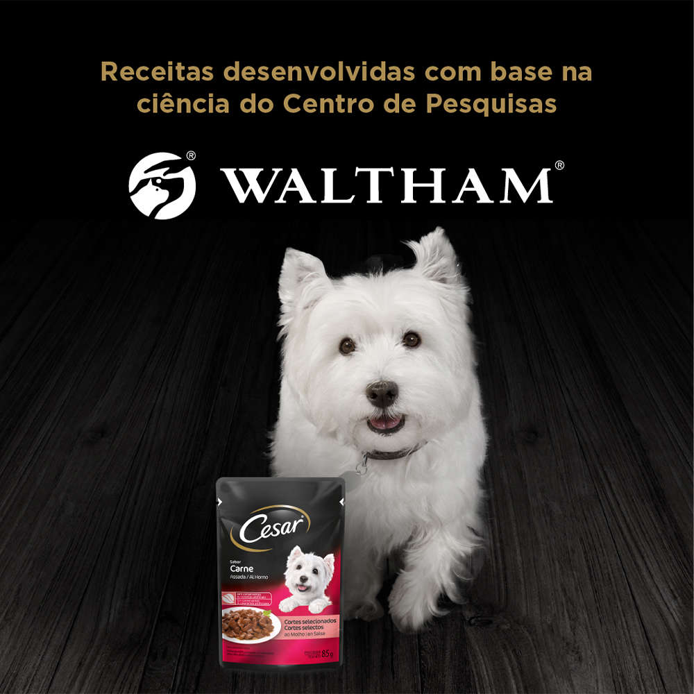 Ração Úmida Cesar Sachê Cortes Selecionados Sabor Carne Assada ao Molho para Cães Adultos - 85 g