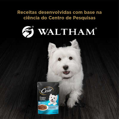 Ração Úmida Cesar Sachê Cortes Selecionados Sabor Cordeiro Assado ao Molho para Cães Adultos