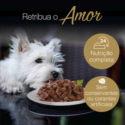Ração Úmida Cesar Sachê Cortes Selecionados Sabor Cordeiro Assado ao Molho para Cães Adultos