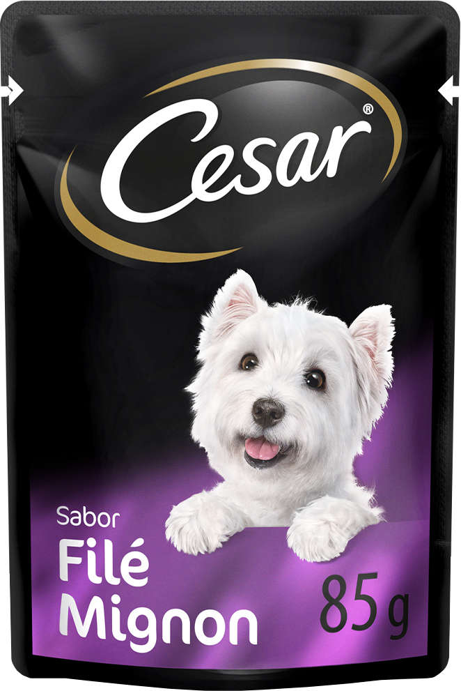Ração Úmida Cesar Sachê Cortes Selecionados Sabor Filé Mignon para Cães Adultos - 85 g