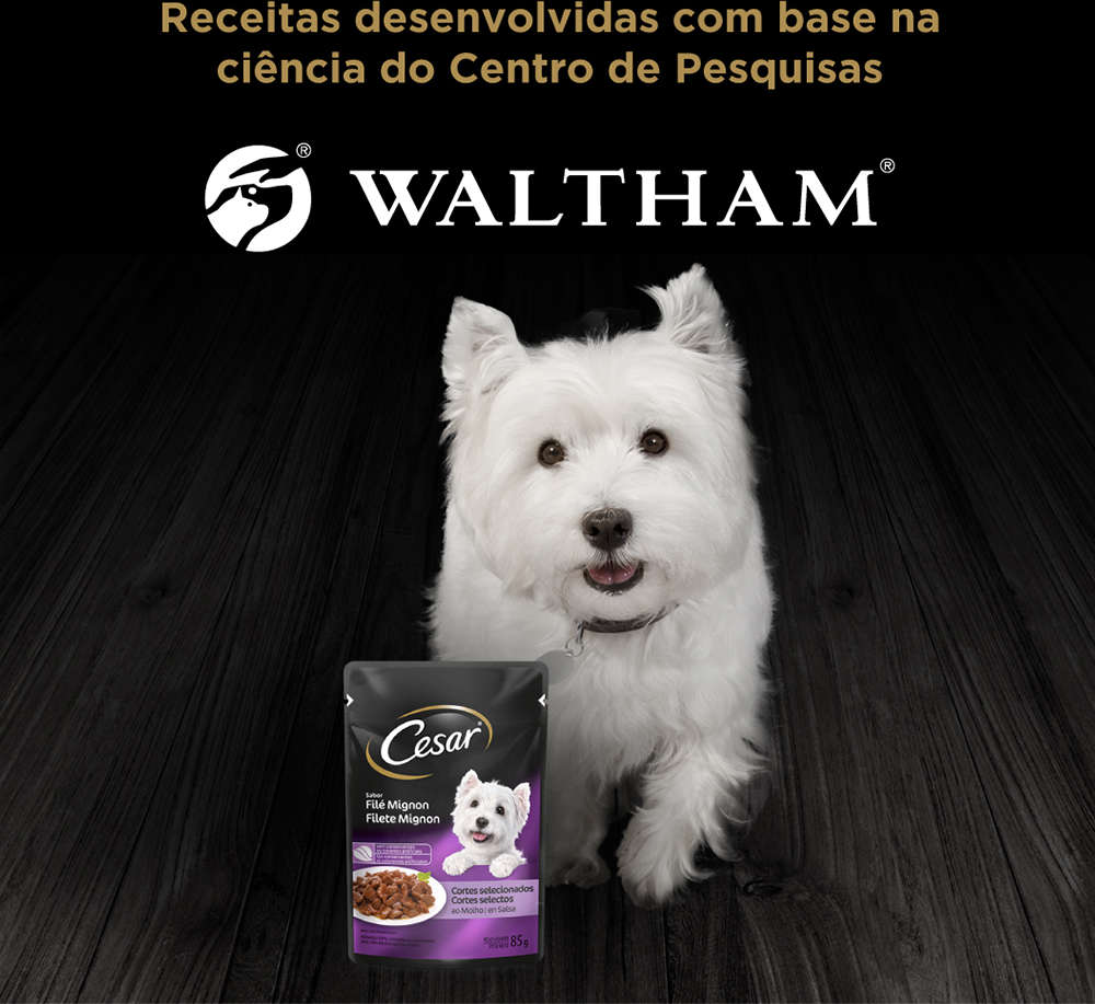 Ração Úmida Cesar Sachê Cortes Selecionados Sabor Filé Mignon para Cães Adultos - 85 g