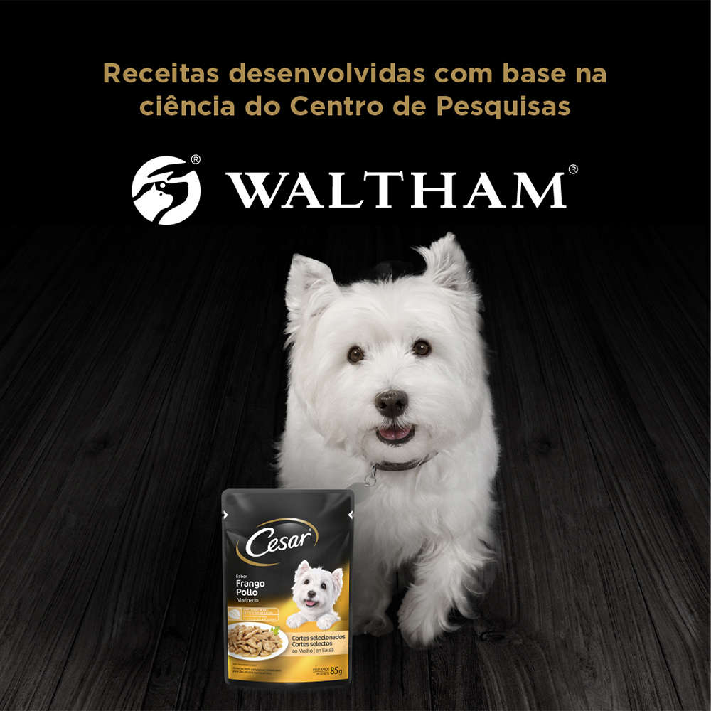 Ração Úmida Cesar Sachê Cortes Selecionados Sabor Frango Marinado ao Molho para Cães Adultos - 85 g