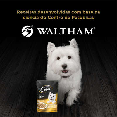 Ração Úmida Cesar Sachê Cortes Selecionados Sabor Frango Marinado ao Molho para Cães Adultos - 85 g