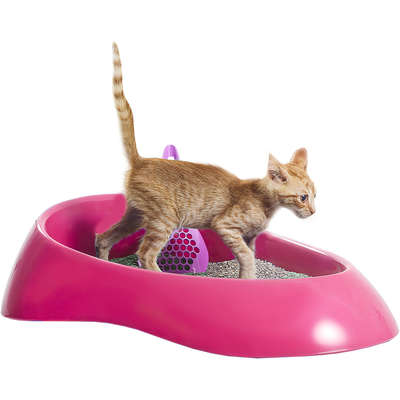 Caixa de Areia Família de Estimação Rosa para Gatos