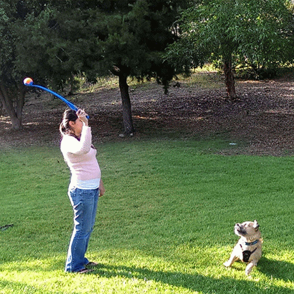 Brinquedo Chuckit Lançador de Bolinhas Júnior para Cães - Tam. Único