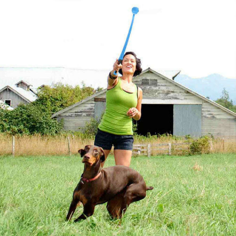 Brinquedo Chuckit Lançador de Bolinhas Classic para Cães - Tam. Único