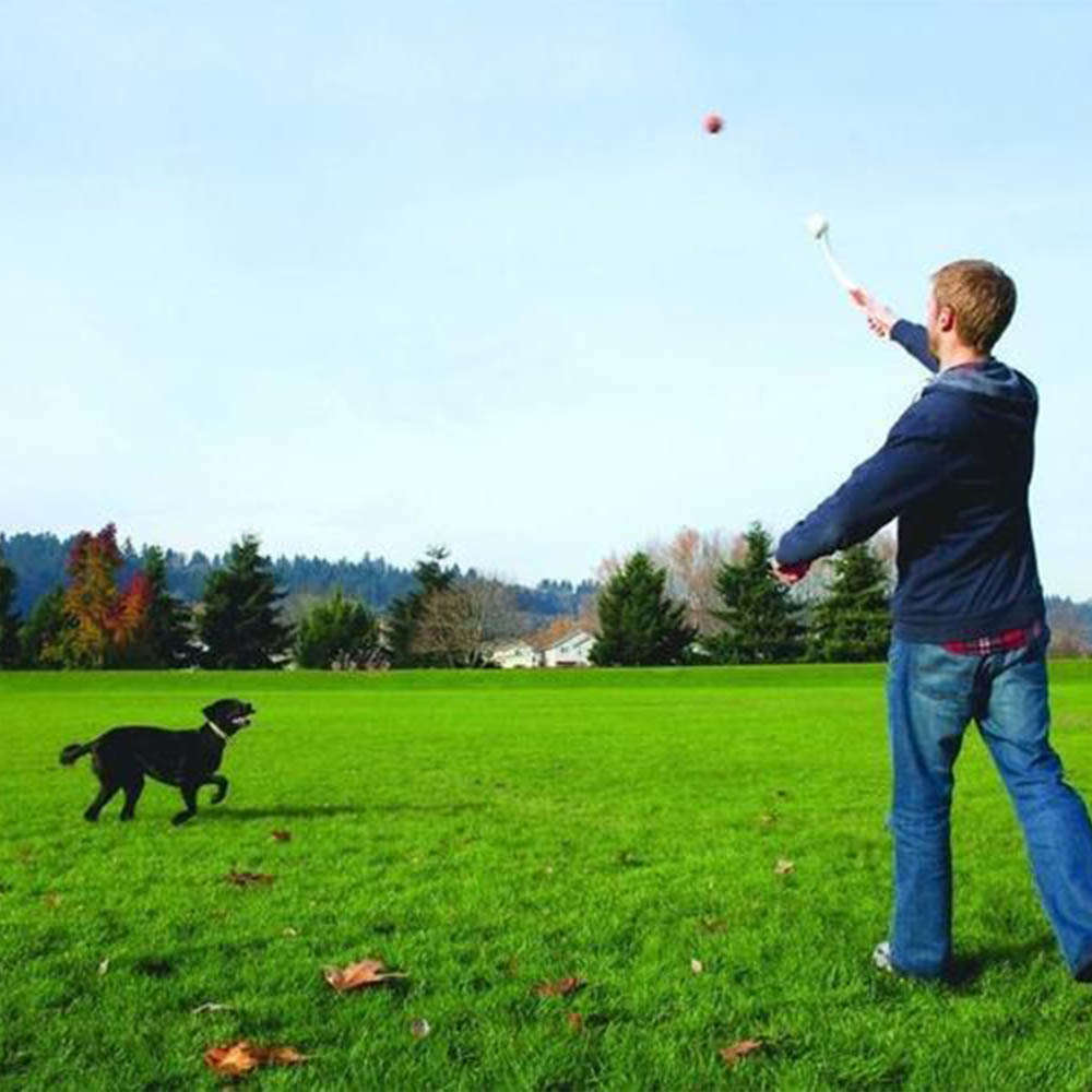 Brinquedo Chuckit Lançador de Bolinhas Classic para Cães - Tam. Único