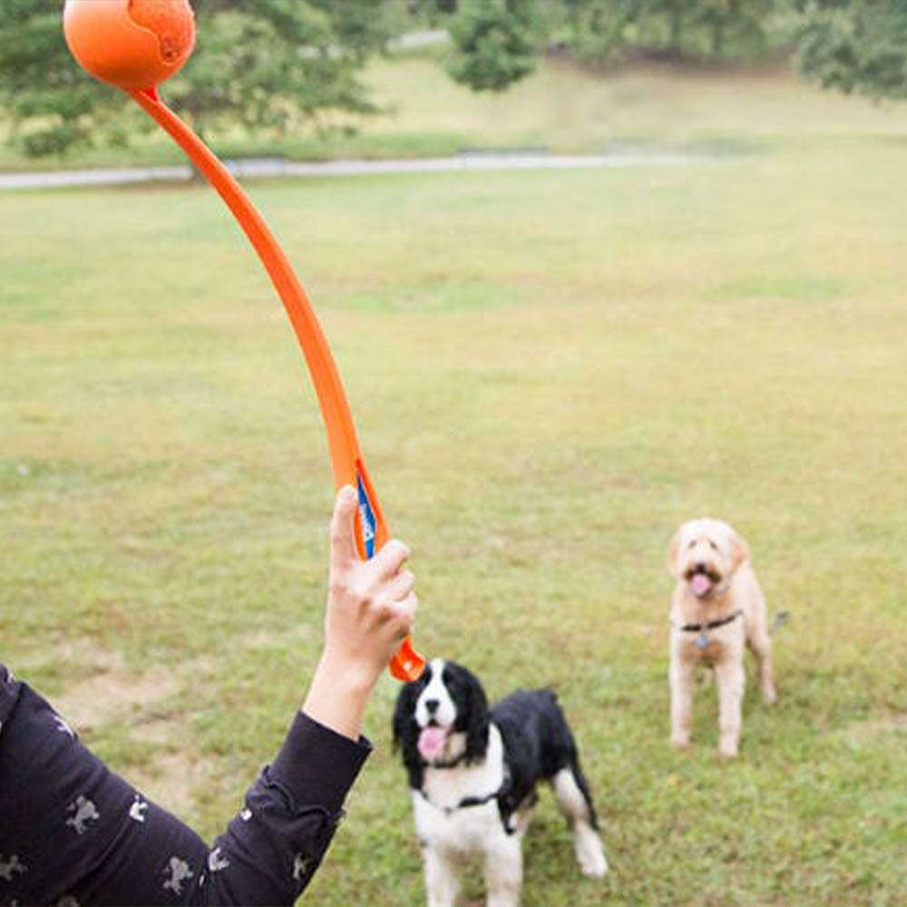 Brinquedo Chuckit Lançador de Bolinhas Classic para Cães - Tam. Único
