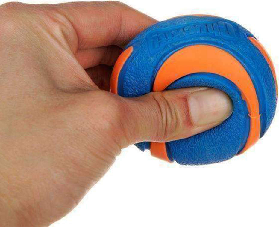 Brinquedo Chuckit Bola Ultra Squeaker Apito 2 Unidades - Tam. M